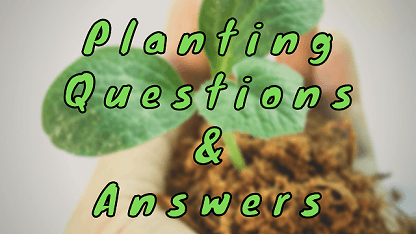 Planting Questions & Answers