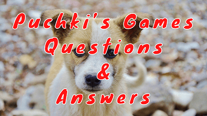 Puchki’s Games Questions & Answers