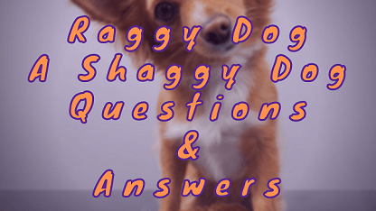 Raggy Dog A Shaggy Dog Questions & Answers