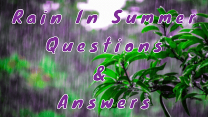 Rain In Summer Questions & Answers