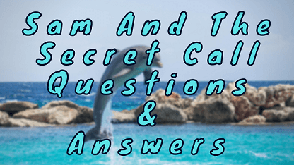 Sam And The Secret Call Questions & Answers