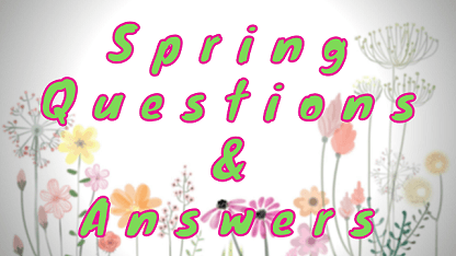 Spring Questions & Answers
