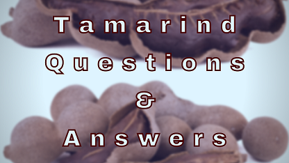Tamarind Questions & Answers