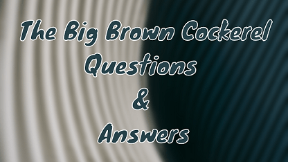 The Big Brown Cockerel Questions & Answers