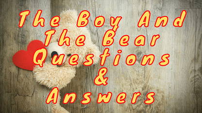 The Boy and The Bear Questions & Answers