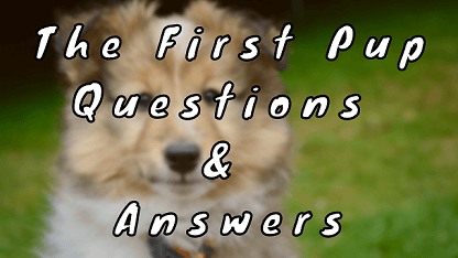 The First Pup Questions & Answers