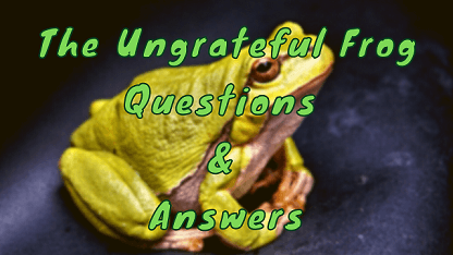 The Ungrateful Frog Questions & Answers