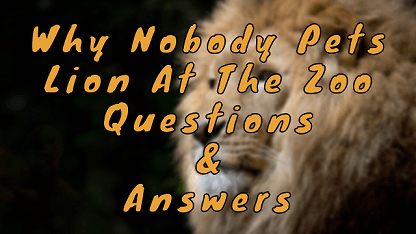 Why Nobody Pets Lion At The Zoo Questions & Answers