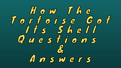 How The Tortoise Got Its Shell Questions & Answers