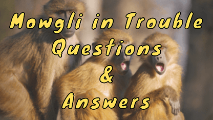 Mowgli in Trouble Questions & Answers
