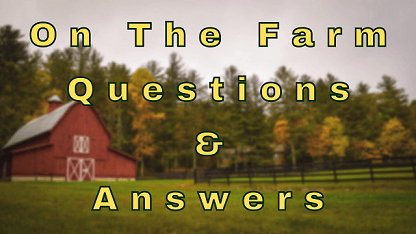 On The Farm Questions & Answers