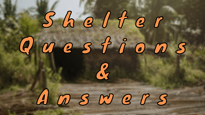 Shelter Questions & Answers