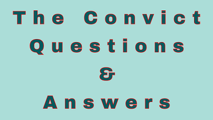 The Convict Questions & Answers