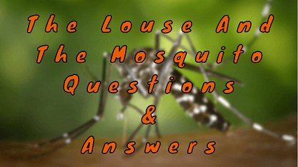 The Louse and The Mosquito Questions & Answers