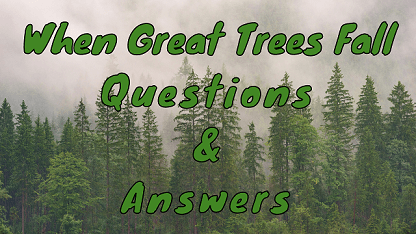 When Great Trees Fall Questions & Answers