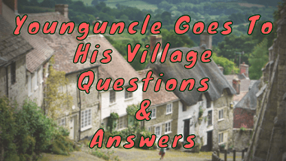 Younguncle Goes To His Village Questions & Answers