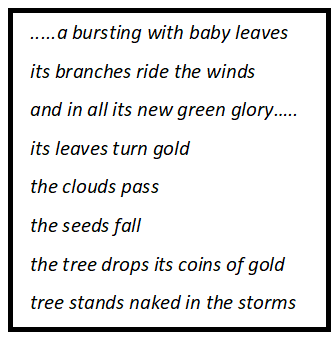 The Tree in Season Questions & Answers