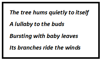 The Tree in Season Questions & Answers
