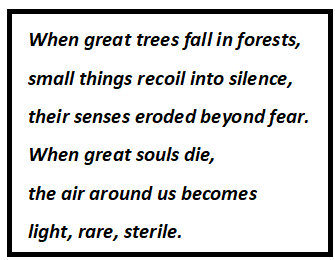 When Great Trees Fall Questions & Answers
