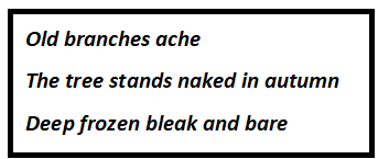 The Tree in Season Questions & Answers