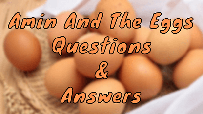 Amin And The Eggs Questions & Answers