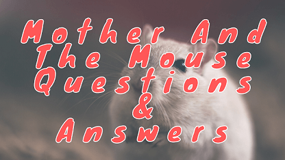Mother And The Mouse Questions & Answers