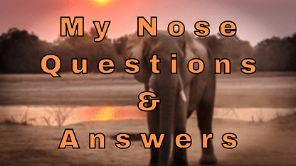 My Nose Questions & Answers