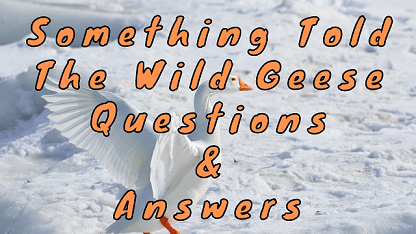 Something Told The Wild Geese Questions & Answers