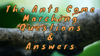 The Ants Come Marching Questions & Answers