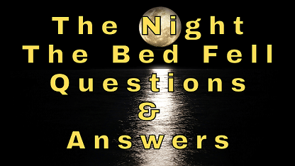 The Night The Bed Fell Questions & Answers