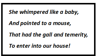 Mother And The Mouse Questions & Answers