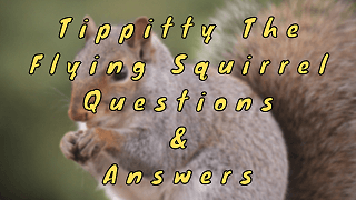 Tippitty The Flying Squirrel Questions & Answers