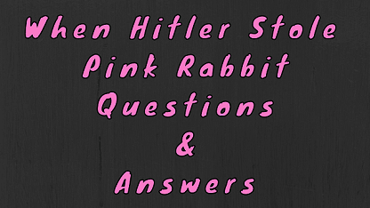 When Hitler Stole Pink Rabbit Questions & Answers