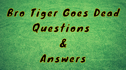 Bro Tiger Goes Dead Questions & Answers