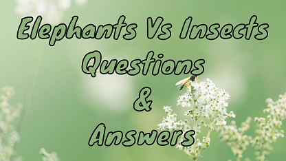 Elephants Vs Insects Questions & Answers