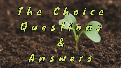The Choice Questions & Answers