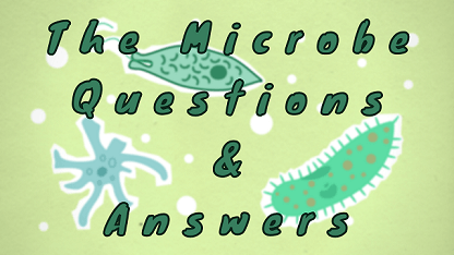 The Microbe Questions & Answers