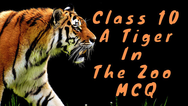 Class 10 A Tiger in The Zoo MCQ