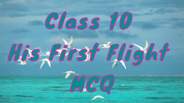 Class 10 His First Flight MCQ