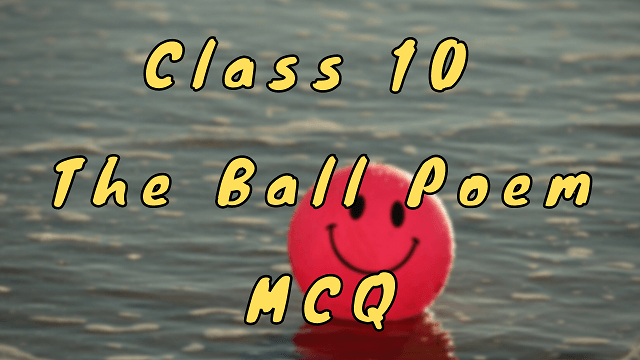 Class 10 The Ball Poem MCQ