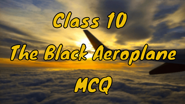Class 10 The Black Aeroplane MCQ