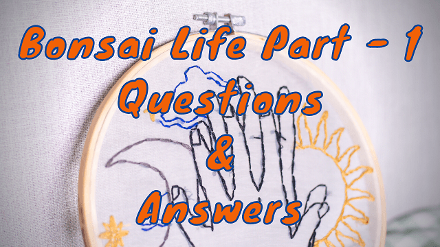 Bonsai Life Part - 1 Questions & Answers
