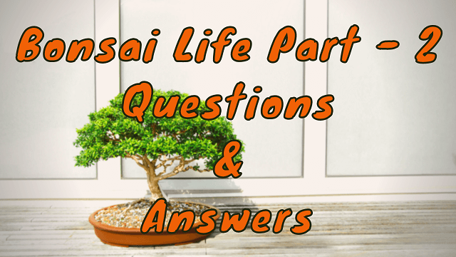 Bonsai Life Part - 2 Questions & Answers