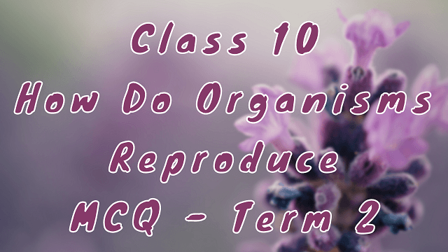 Class 10 How Do Organisms Reproduce MCQ - Term 2