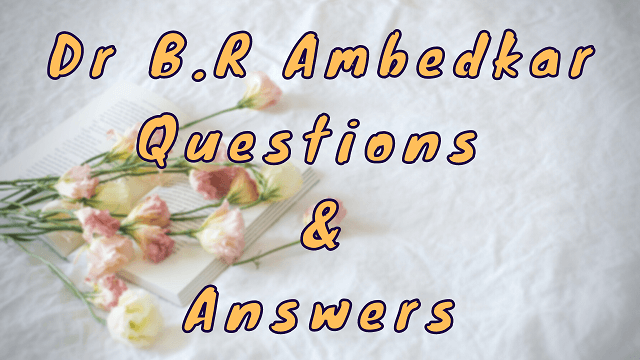 Dr B.R Ambedkar Questions & Answers