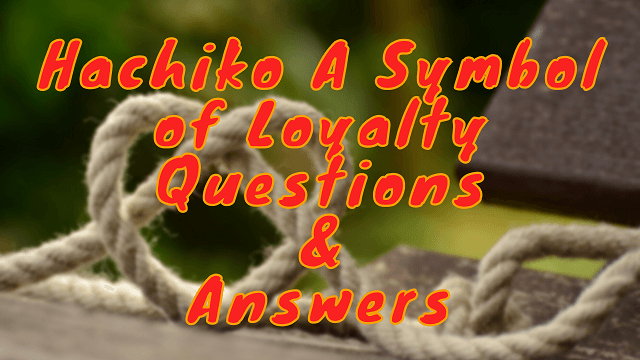 Hachiko A Symbol of Loyalty Questions & Answers
