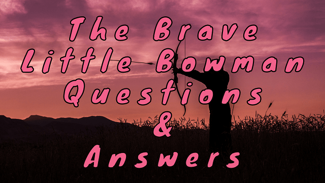The Brave Little Bowman Questions & Answers
