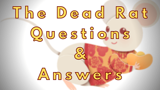 The Dead Rat Questions & Answers