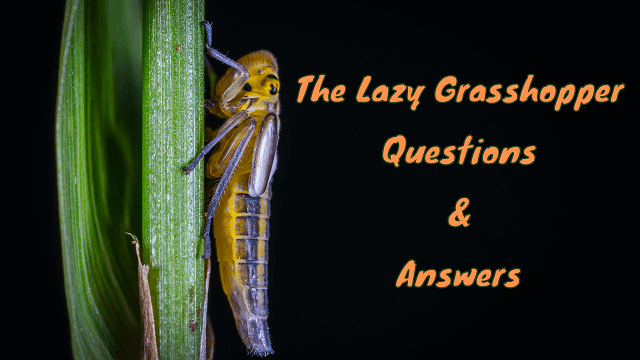 The Lazy Grasshopper Questions & Answers