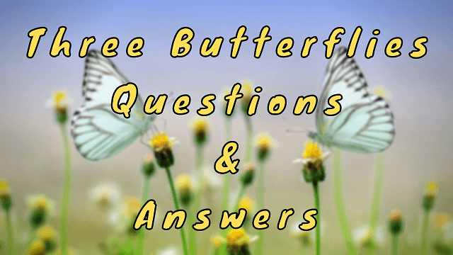 Three Butterflies Questions & Answers